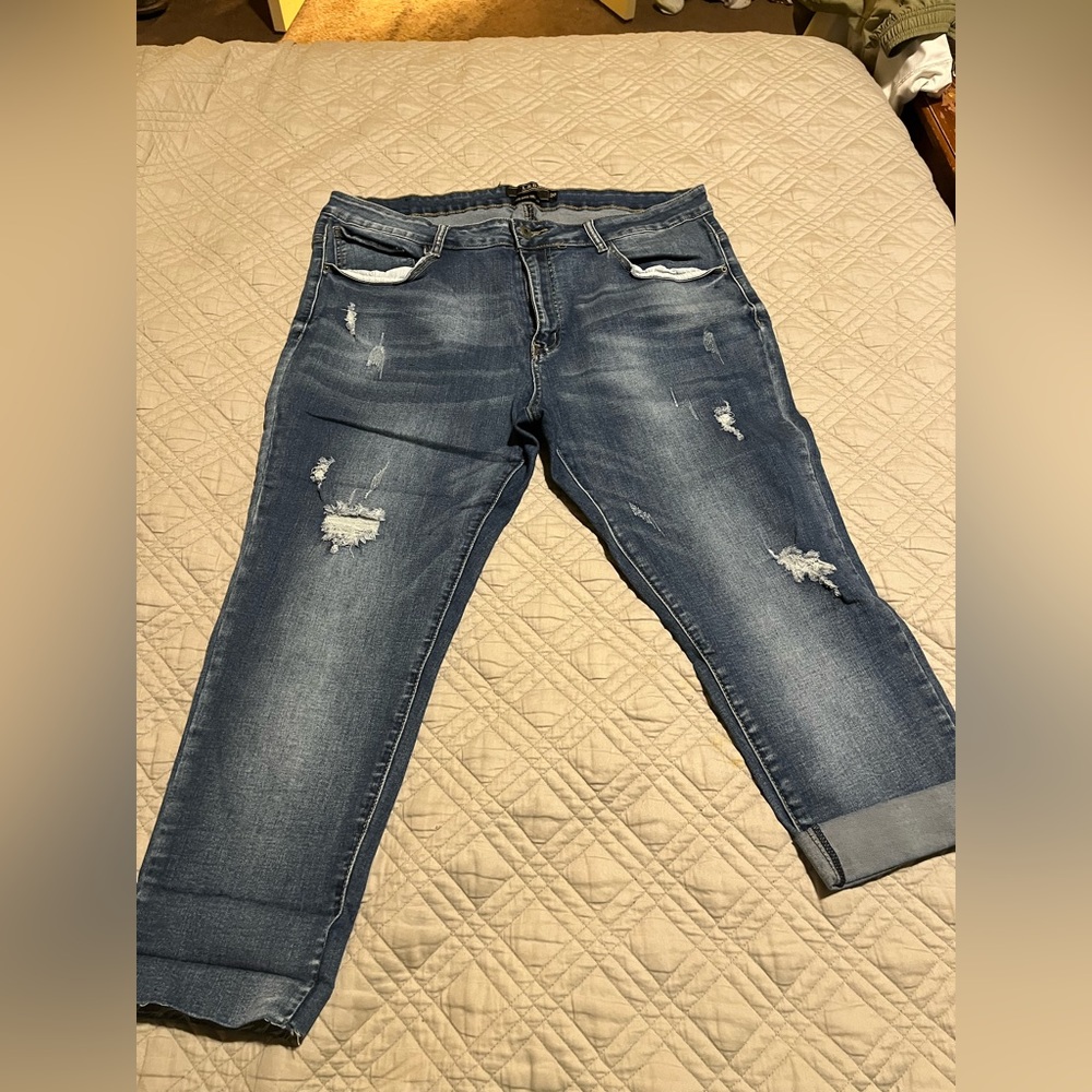 L&B brand jeans.  Size 20 mid rise